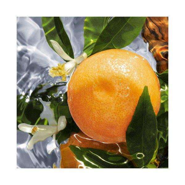 Guerlain Aqua Allegoria Pamplelune Eau de Toilette  