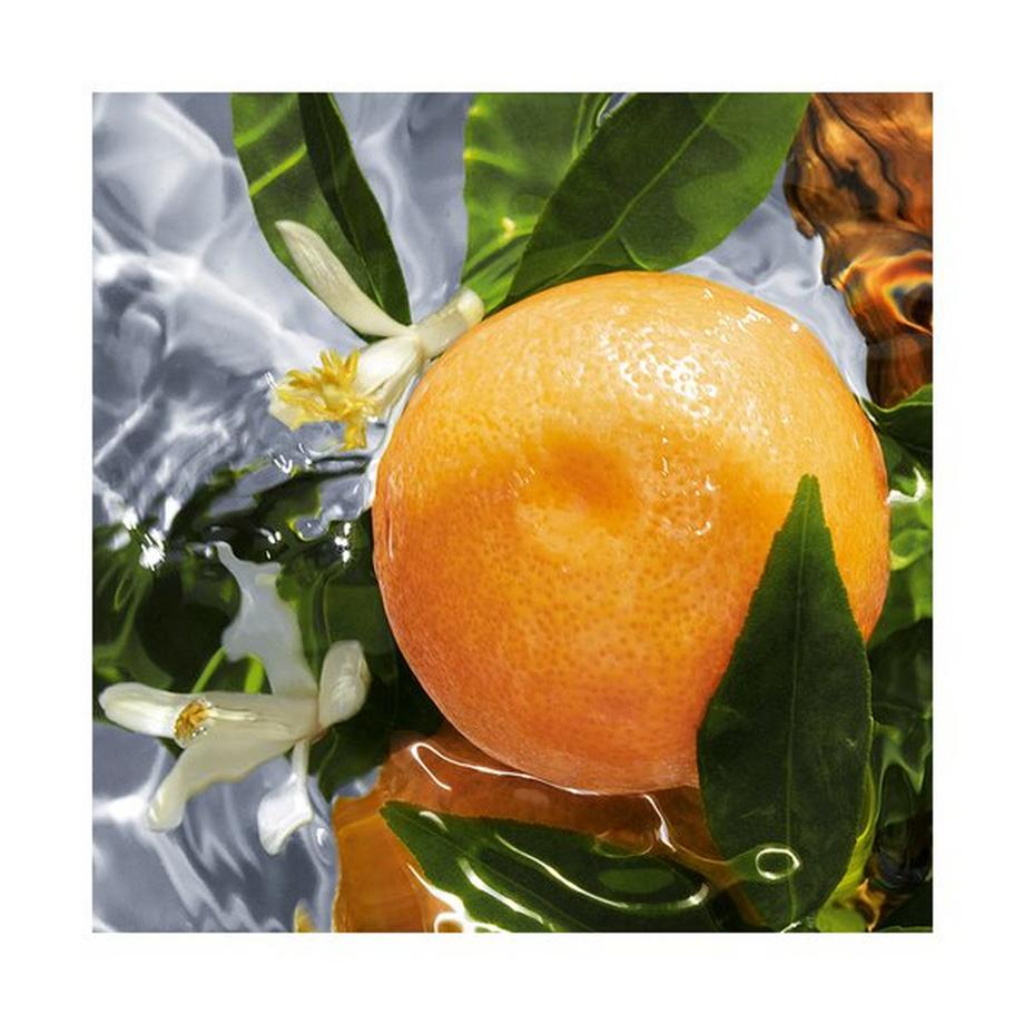 Guerlain Aqua Allegoria Pamplelune Eau de Toilette  