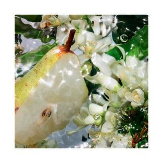 Guerlain Aqua Allegoria Pera Granita Eau de Toilette  