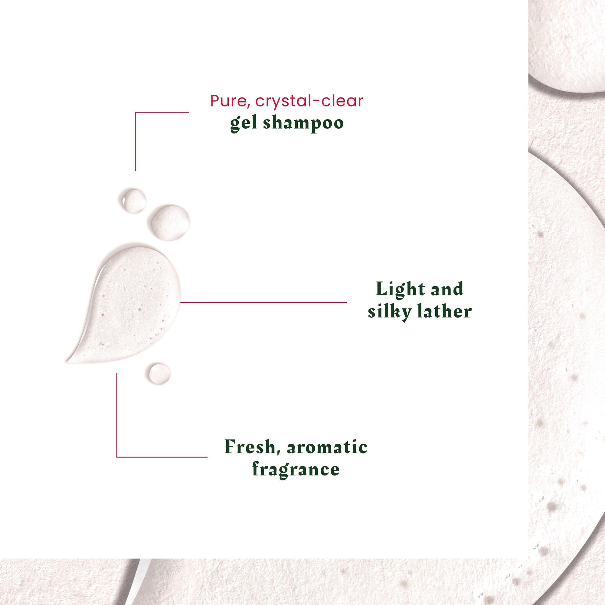 FURTERER Neopur  Shampoo antiforfora grassa  