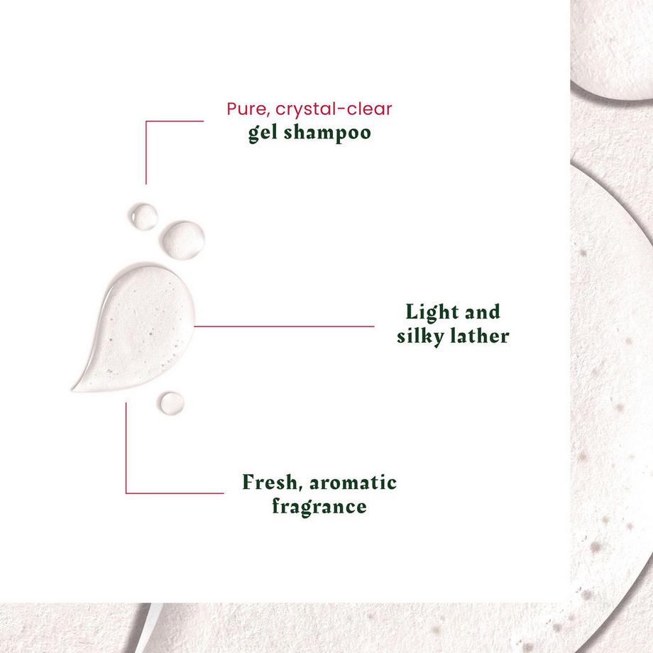 FURTERER Neopur  Shampoo antiforfora grassa  