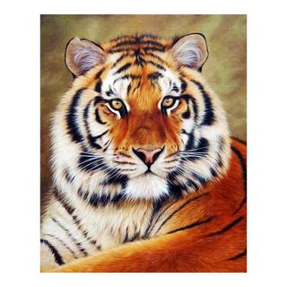 Figured'Art Mosaico di diamanti Occhio Di Tigre 