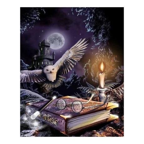 Figured'Art Diamantmosaik Magische Eule 