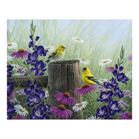 Figured'Art Peinture par numéros Goldfinch Birds 