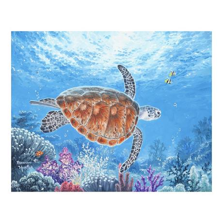 Figured'Art Dipingere con i numeri Tartaruga 