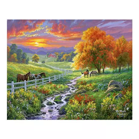 Figured'Art Peinture par numéros Sunny Meadow Multicolor