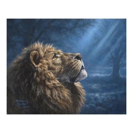 Figured'Art Peinture par numéros Lion and Dim Light 
