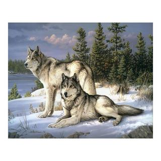 Figured'Art Peinture par numéros Wolves Couple 