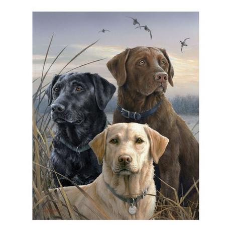 Figured'Art Peinture par numéros Labrador Trio 
