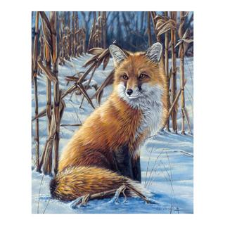 Figured'Art Peinture par numéros Fox In The Snow 