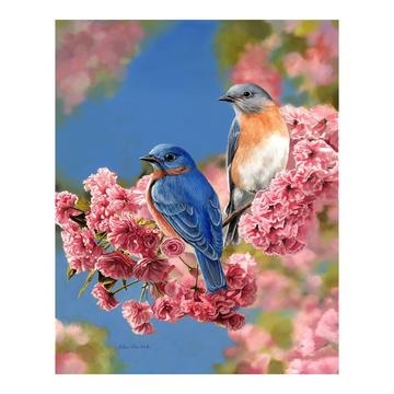 Dipingere con i numeri