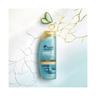 head & shoulders Derma x Pro Shampoo Repair Shampoo 