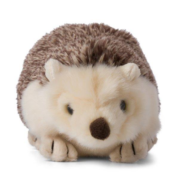 Image of Igel Multicolor