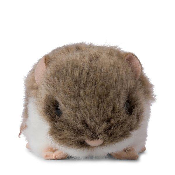 Image of Hamster Multicolor