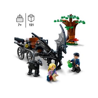 LEGO®  76400 La diligence et les sombrals de Poudlard 