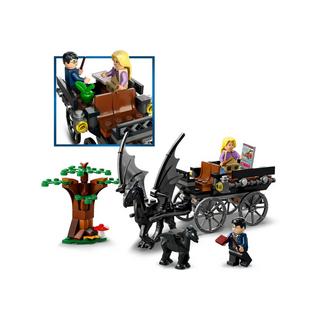 LEGO®  76400 La diligence et les sombrals de Poudlard 