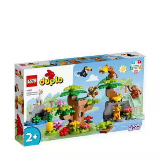 LEGO Duplo - Animaux sauvages d'Amérique du Sud - 10973