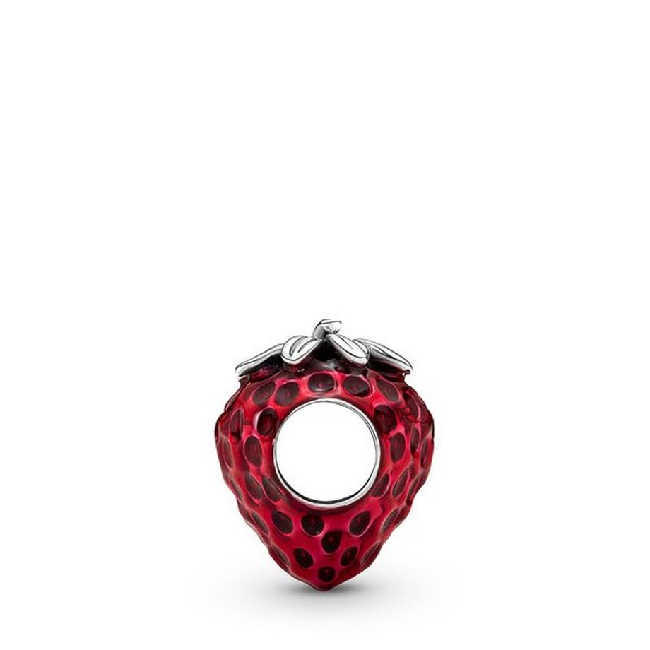 PANDORA Pandora Moments Charm 