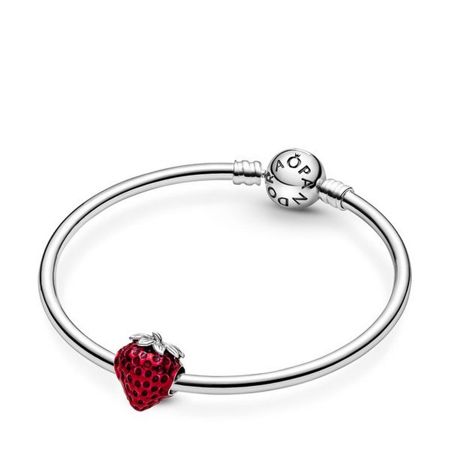 PANDORA Pandora Moments Charm 