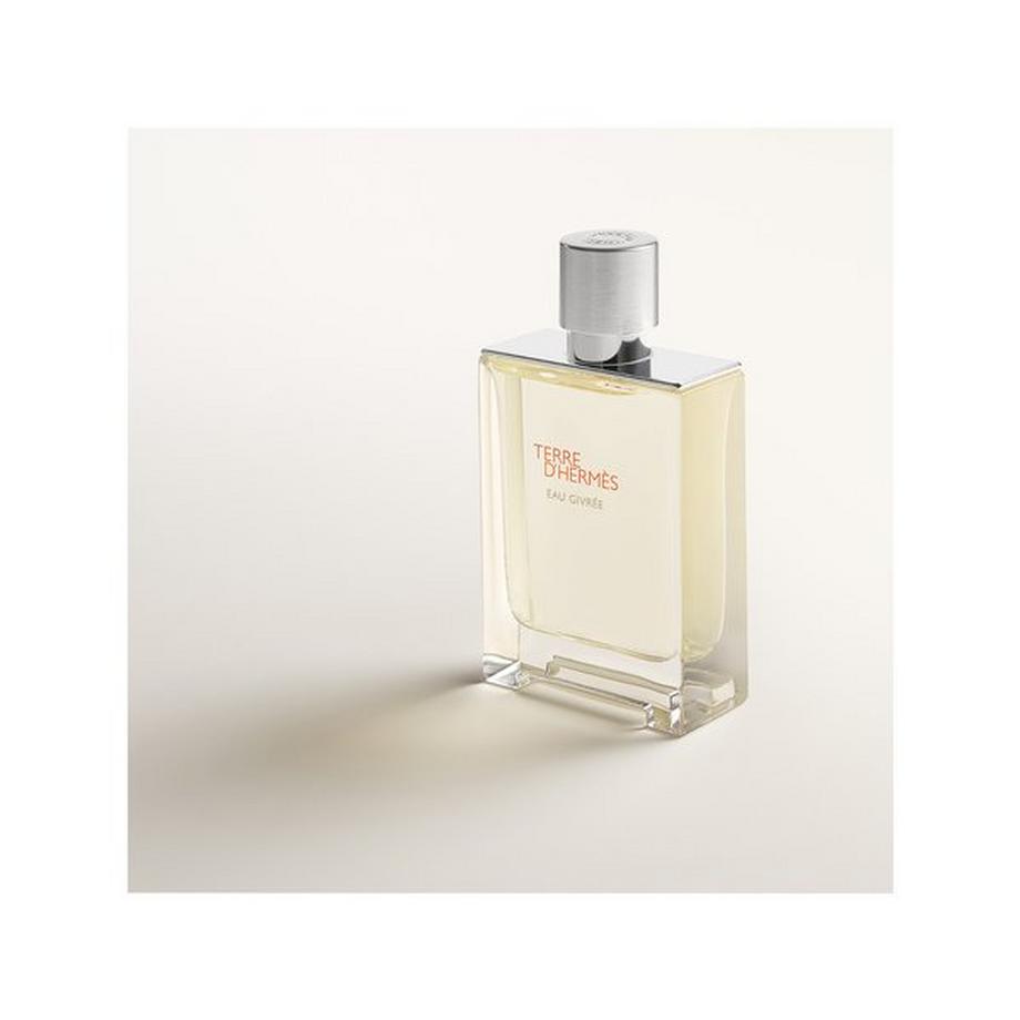 HERMÈS Terre d’Hermès Eau Givrée, Eau de Pafum  