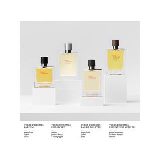 HERMÈS Terre d’Hermès Eau Givrée, Eau de Pafum  