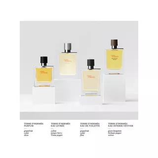 HERMÈS  Terre d’Hermès Eau Givrée, Eau de Pafum 