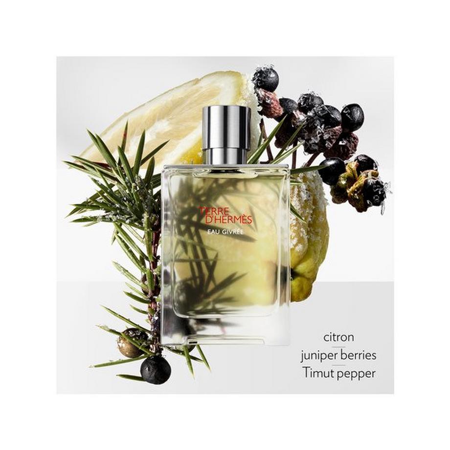 HERMÈS Terre d’Hermès Eau Givrée, Eau de Pafum  