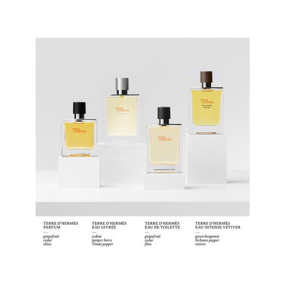 HERMÈS Terre d’Hermès Eau Givrée, Eau de Pafum  