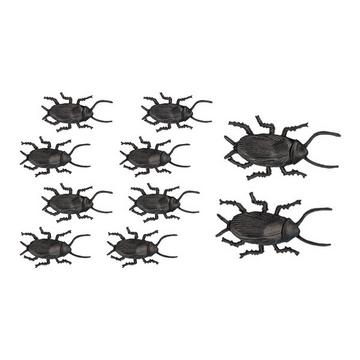 10 scarafaggi marroni lunghezza 5 cm