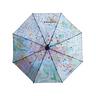 Rainmap Frauenfeld Regenschirm 