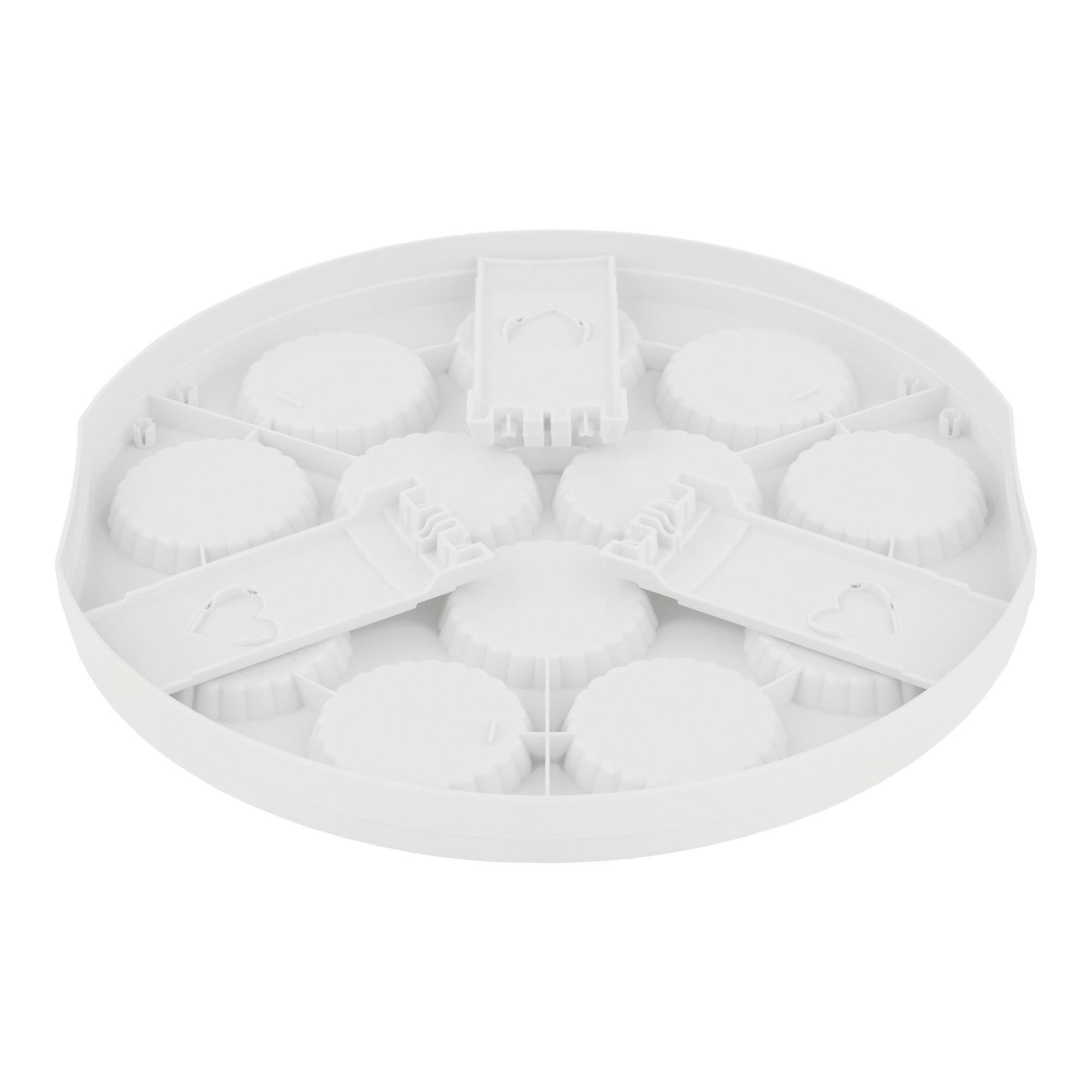 rotho Boîte de transport muffins/gâteaux Fresh 