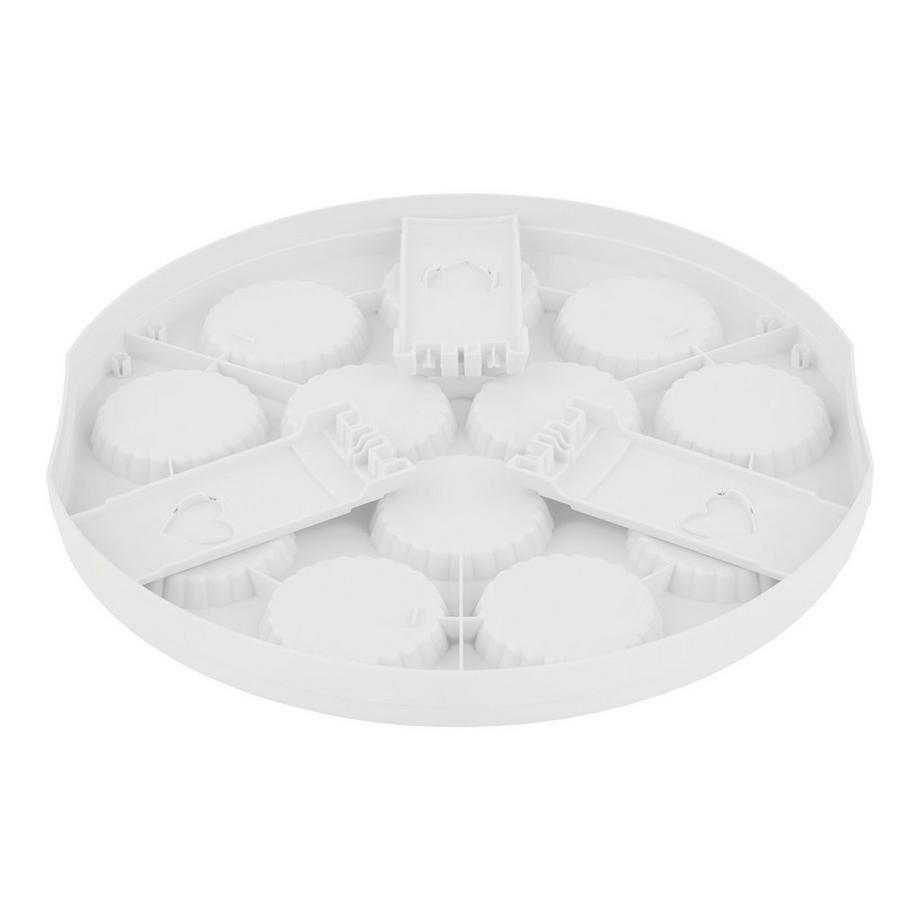 rotho Boîte de transport muffins/gâteaux Fresh 