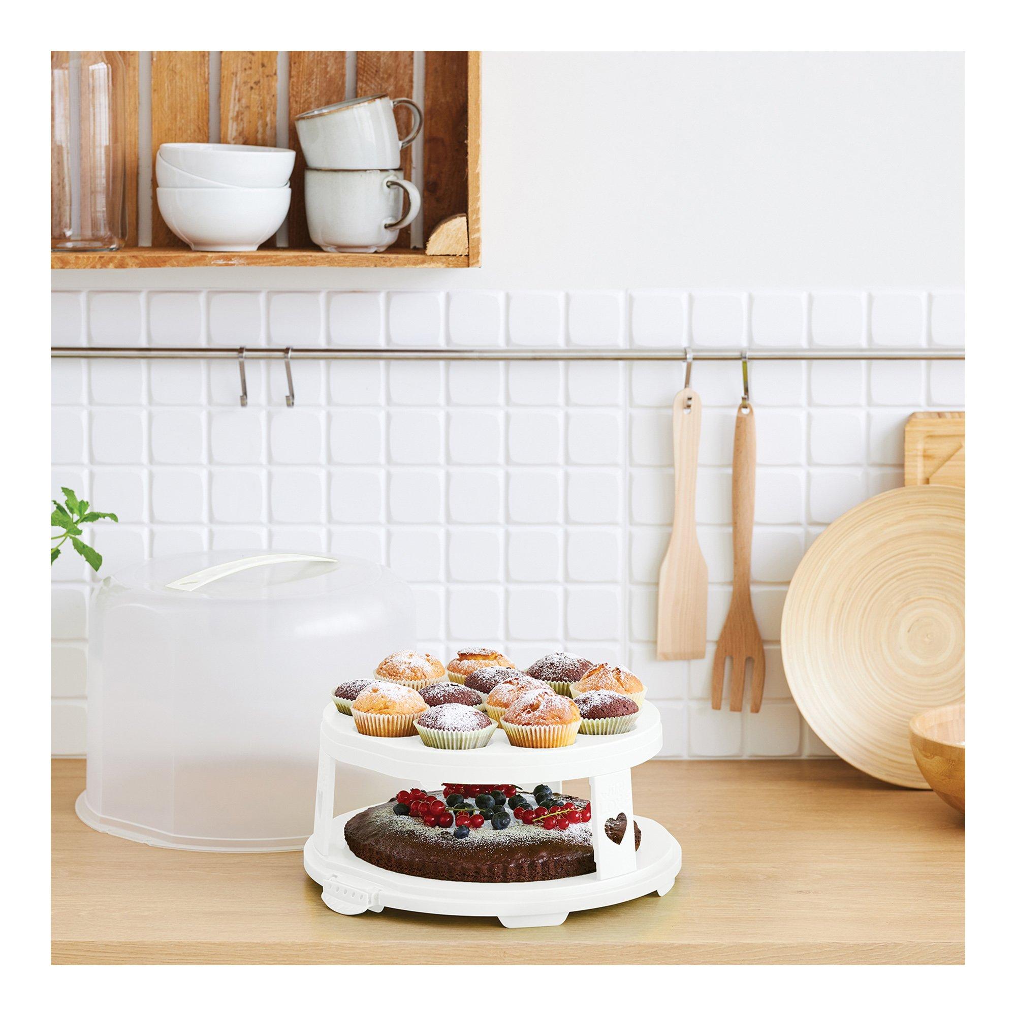 rotho Boîte de transport muffins/gâteaux Fresh 