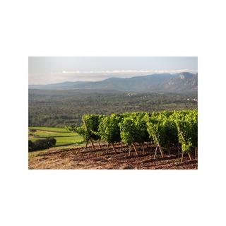 Château d'Esclans 2023, Château d’Esclans, Côtes de Provence AOP  