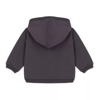 PETIT BATEAU CANNELLE Sweatshirt 