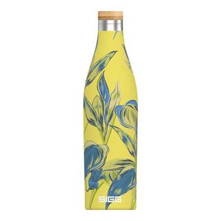 SIGG Meridian Sumatra Bouteille isolante 
