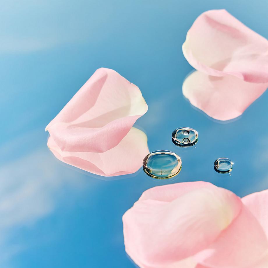 NIVEA Duschgel Rose & Almond Oil Pflegedusche Rose & Almond Oil 