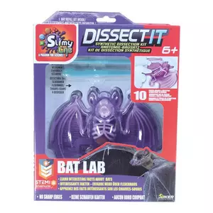 Dissect-it Fledermaus