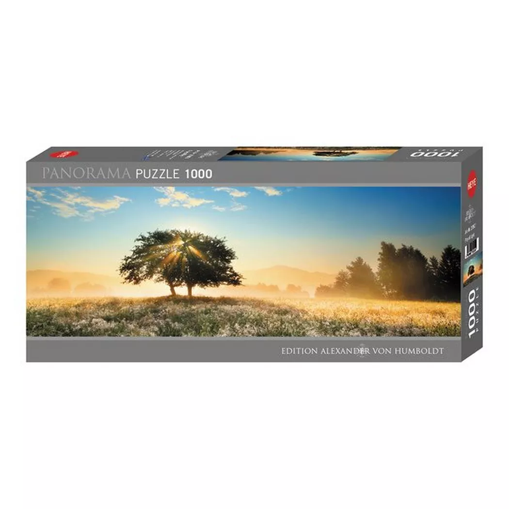 Heye - Play of Light Panorama 1000 Teile, Multicolor