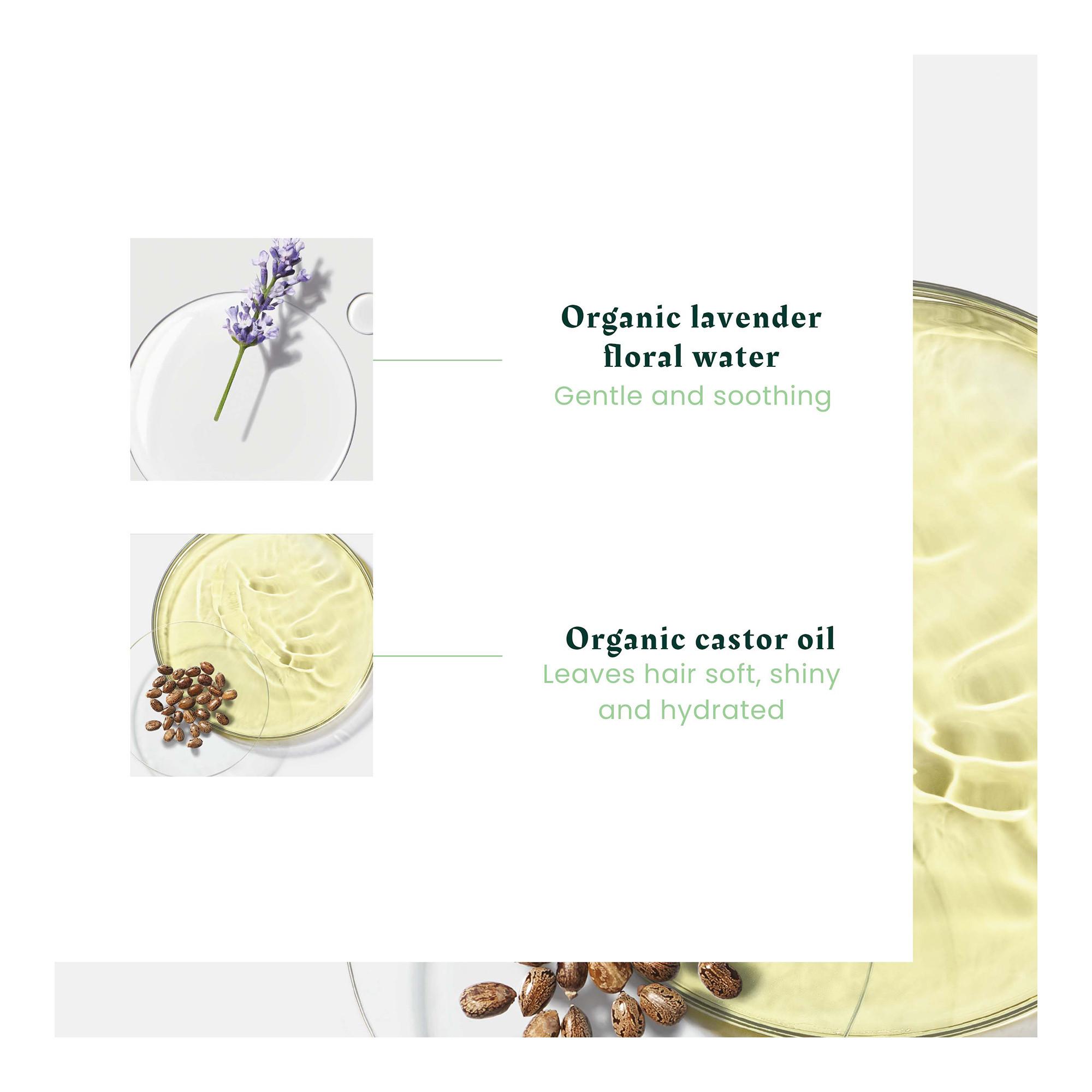 FURTERER Naturia  Spray districante espresso organico  