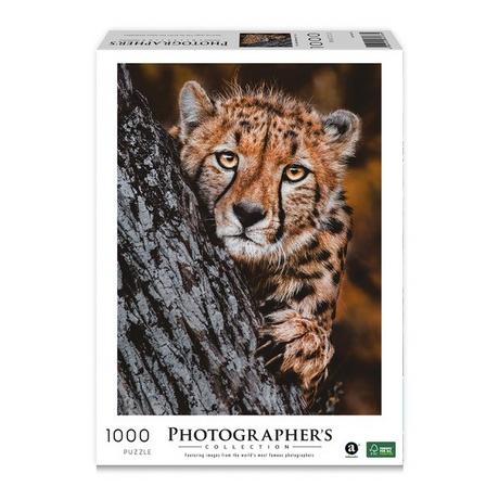 Merchant Ambassador  Ghepardo 1000 pezzi  