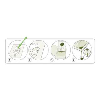 Djeco Kreativ-Set Sandbilder Bunte Vögel 