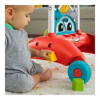 Fisher Price  Steady Speed 2-Sided Walker 