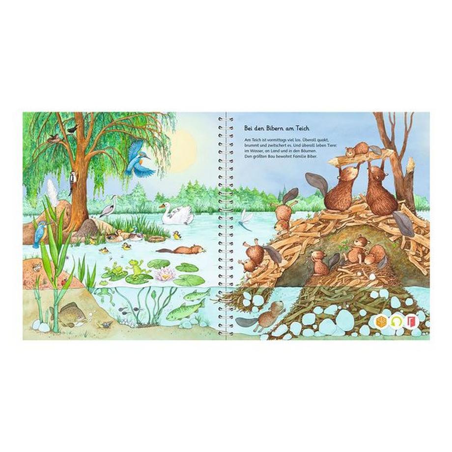 tiptoi  Tiptoi - Mein Wörter-Bilderbuch Tiere, Deutsch 