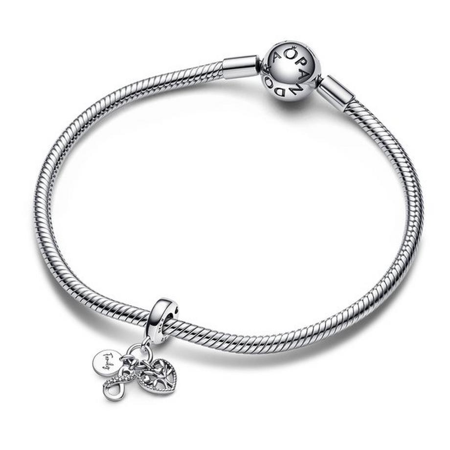 PANDORA Pandora Moments Charm 