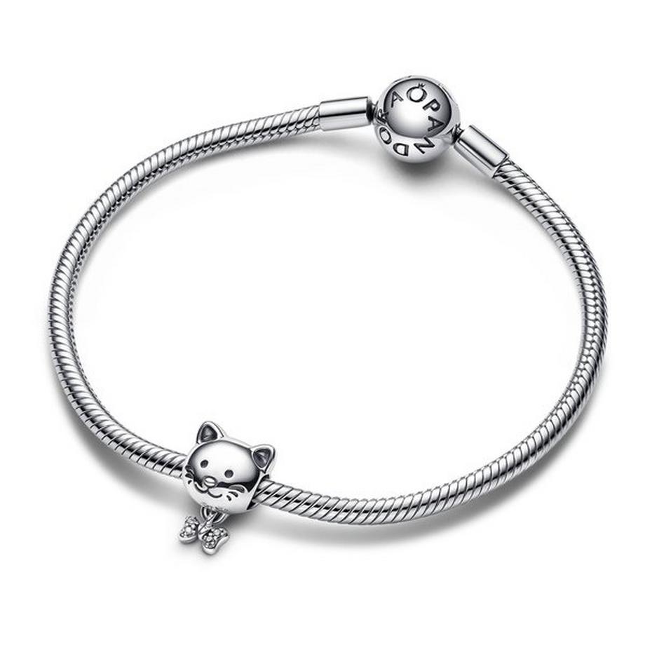PANDORA Pandora Moments Charm 