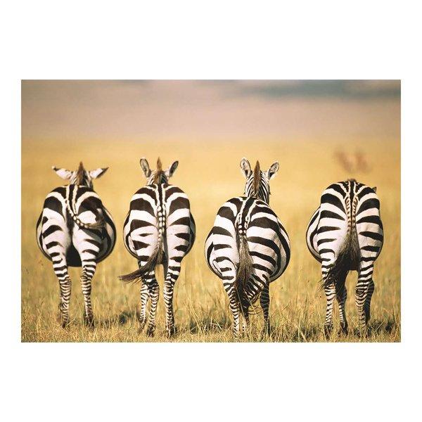 Ravensburger  Zebra, 300 pezzi 