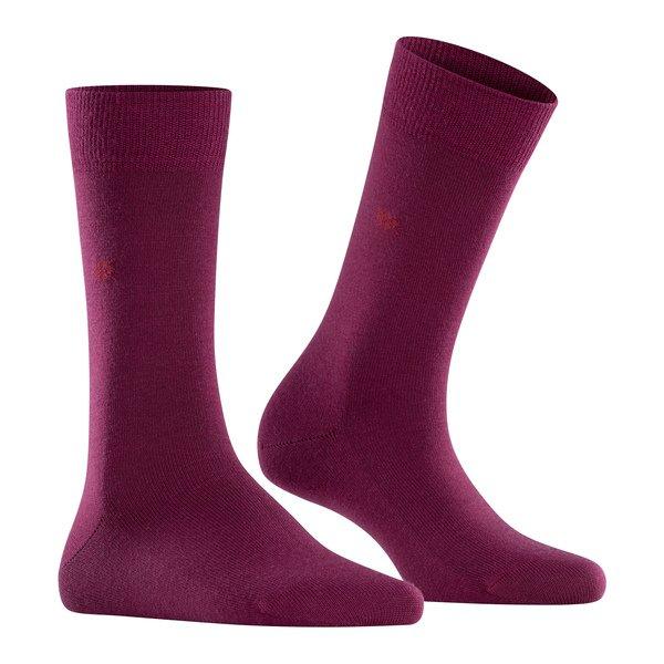 Image of Socken Damen Weinrot 36-41