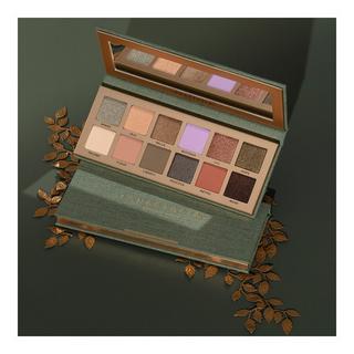 Anastasia Beverly Hills  Palette Nouveau 