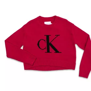 Calvin Klein MONOGRAM SWEATER Sweatshirt 